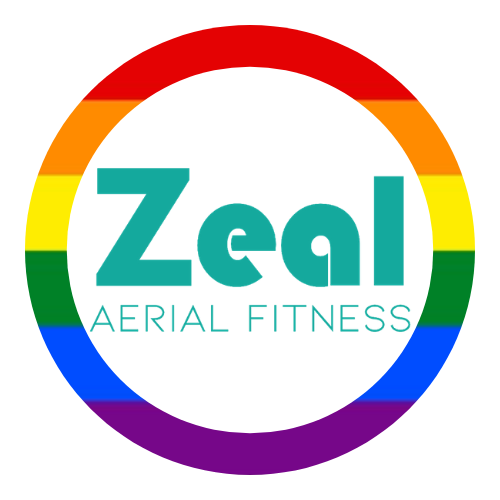 Zeal Aerial Fitness